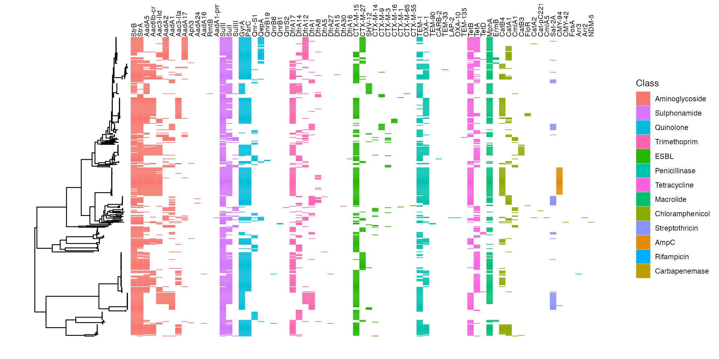 AMR determinants mapped back to phylogeny
