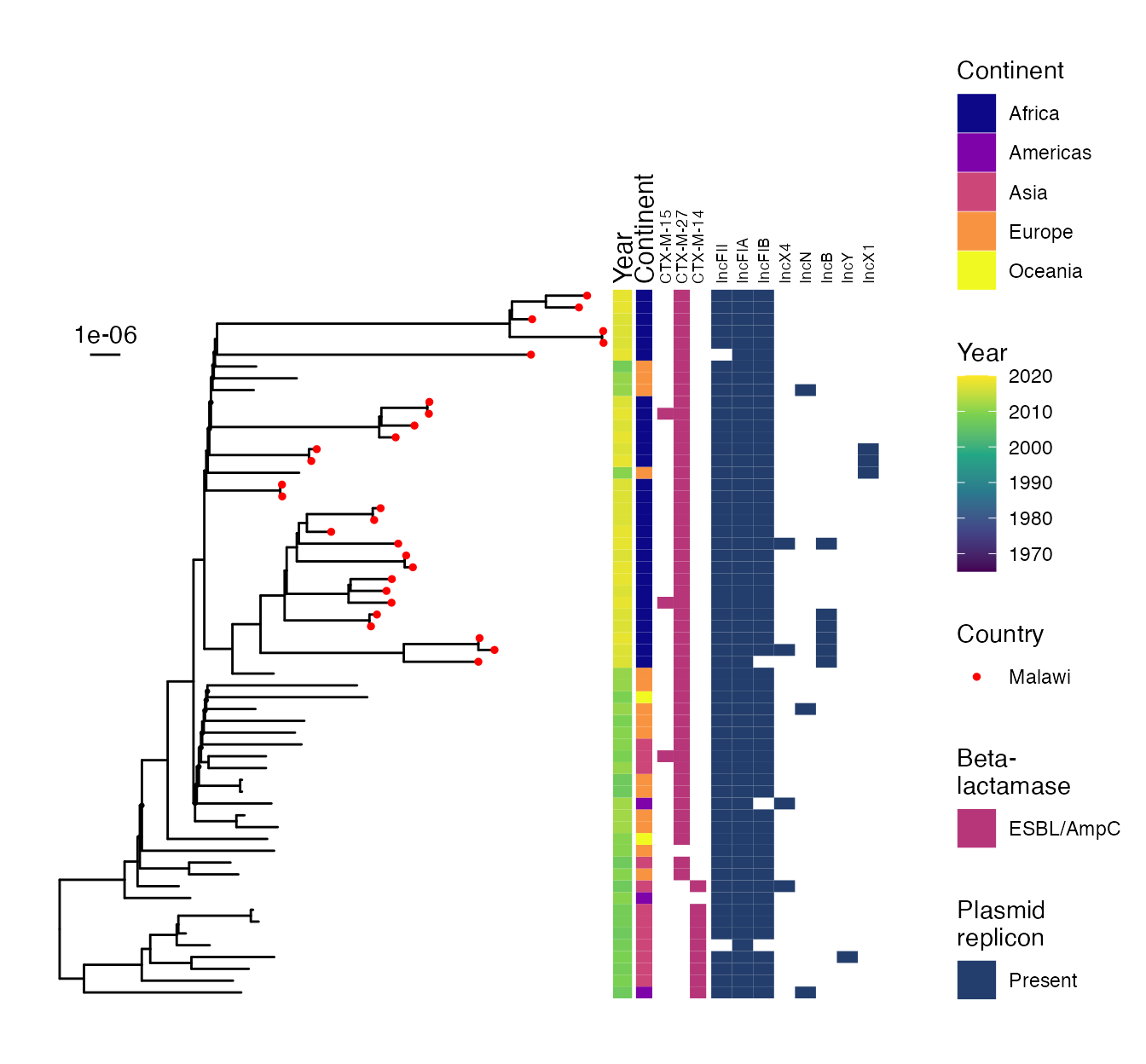 E. coli ST131 subtree showing detail of CTX-M-27 isolates and one area in which Malawian isolates are monophyletic