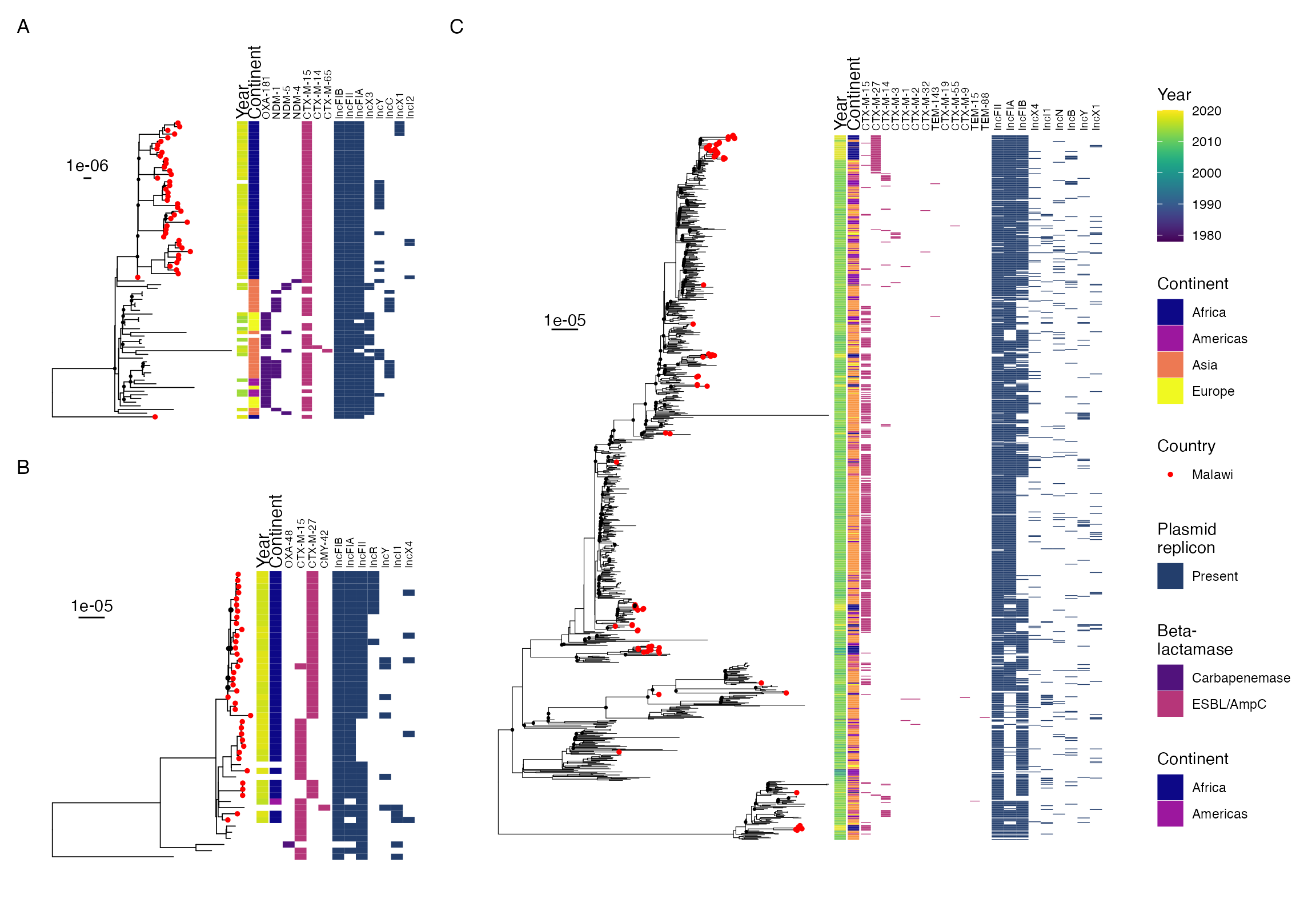 E. coli ST140 (A) and ST167 (B) subtrees and (C) ST131 tree showing ESBL/CPE genes and plasmid replicons