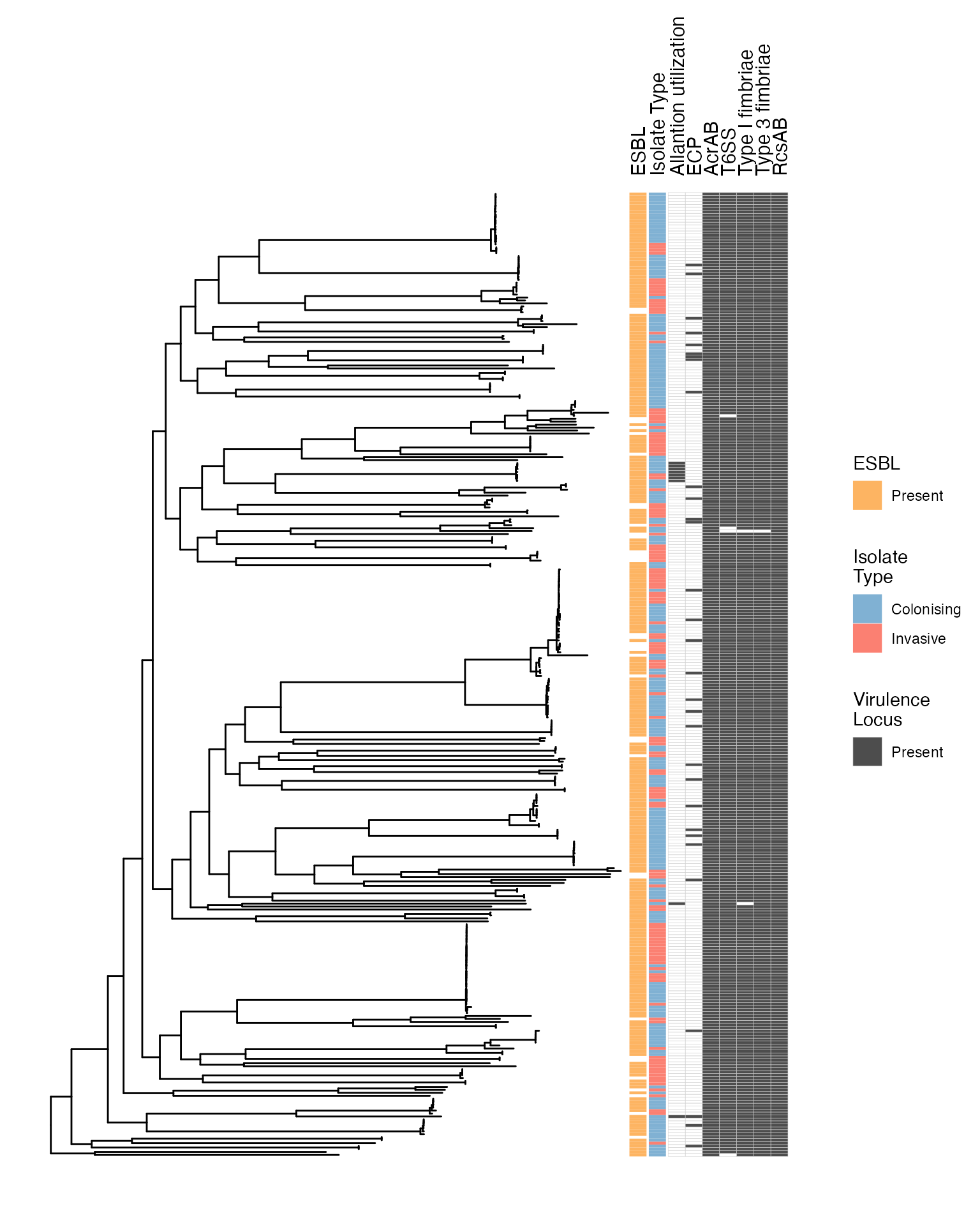 Midpoint rooted core gene maximum likelihood phylogenetic tree of Malawian isolates, showing VFDB virulence determinants.