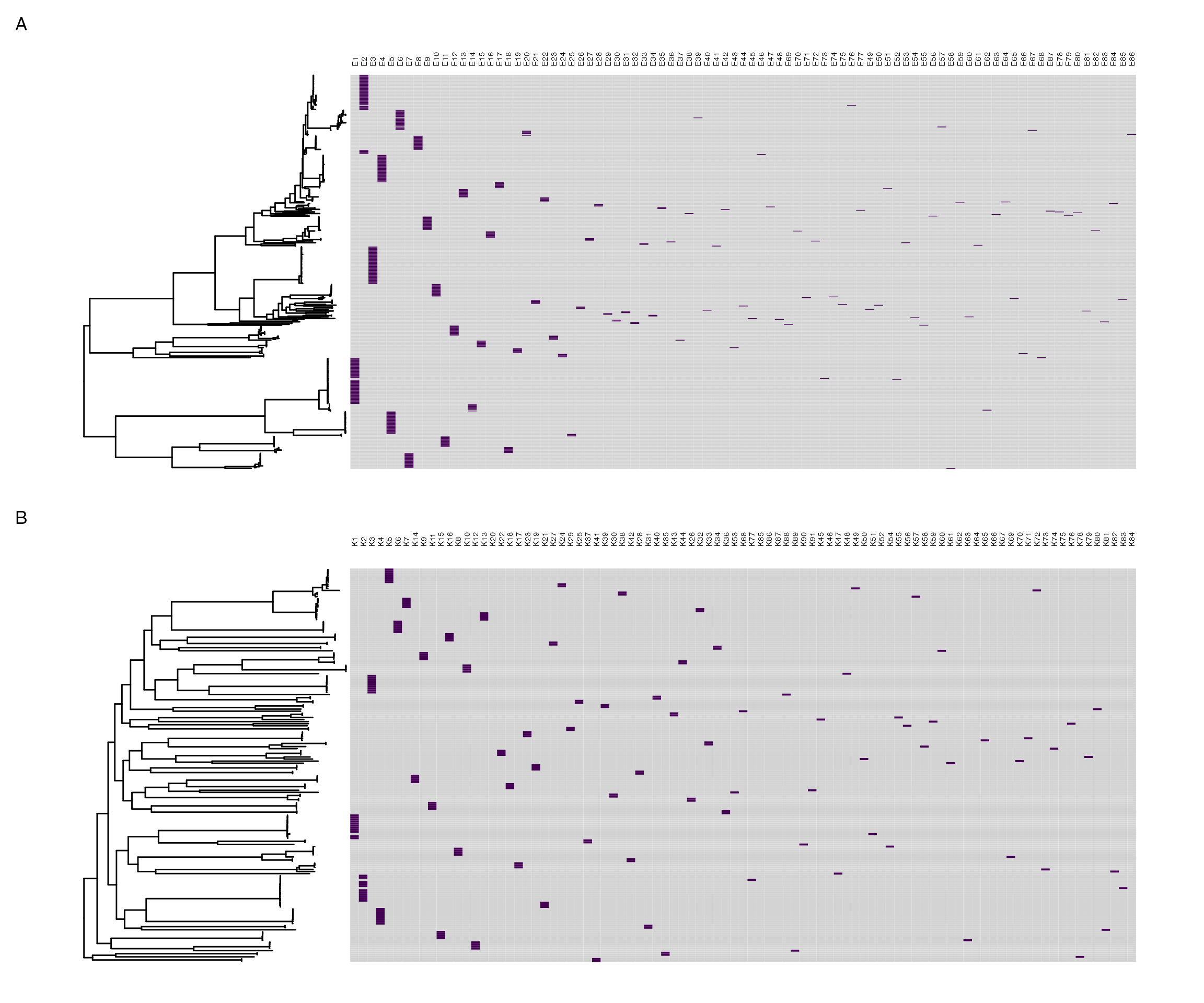 PopPUNK clusters mapped to core gene maximum-likelihood phylogeny